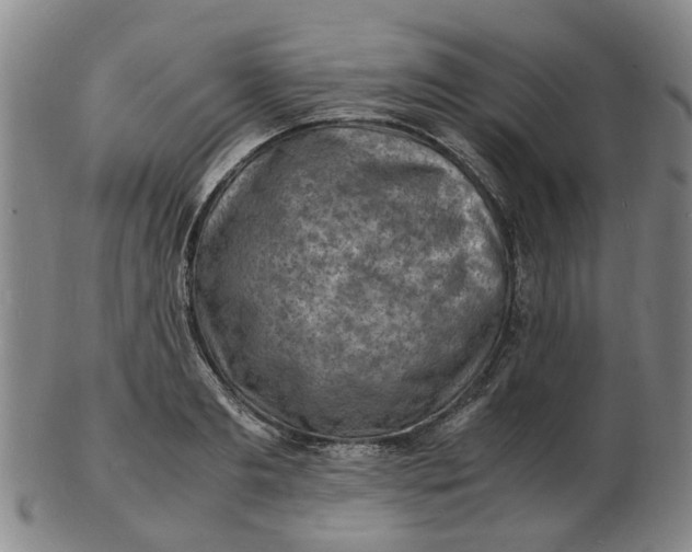 X0000102780893200809081025