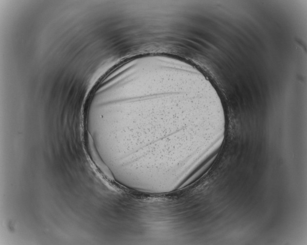 X0000102780894200809081025