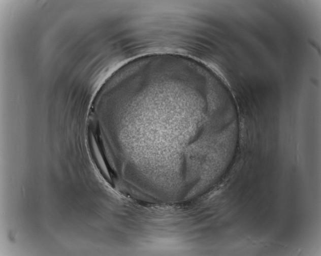 X0000102780895200809081025