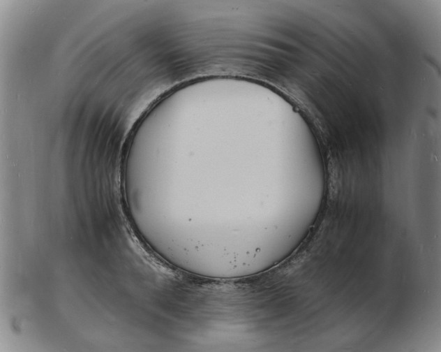 X0000102780896200809081025