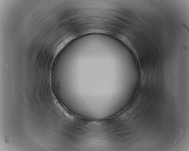 X0000102780898200809081025