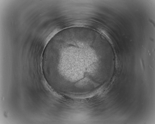 X0000102780899200809081025