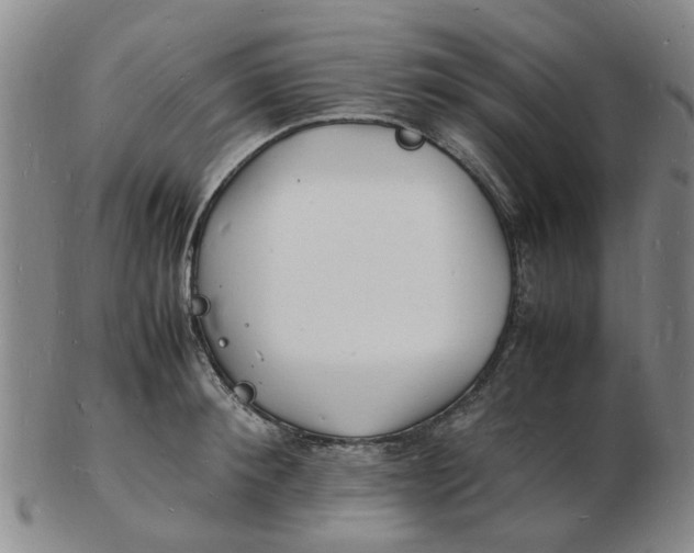 X0000102780900200809081025