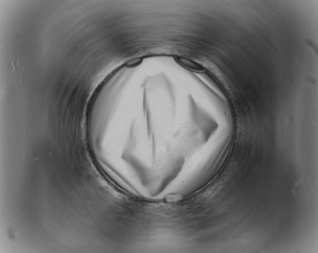 X0000102780902200809081025