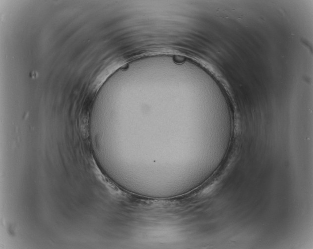 X0000102780905200809081025