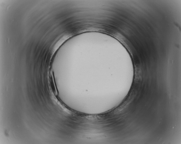 X0000102780906200809081025