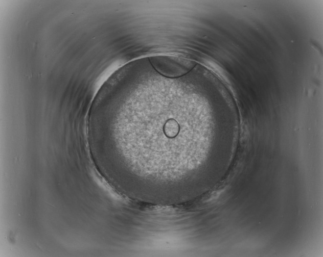 X0000102780907200809081025