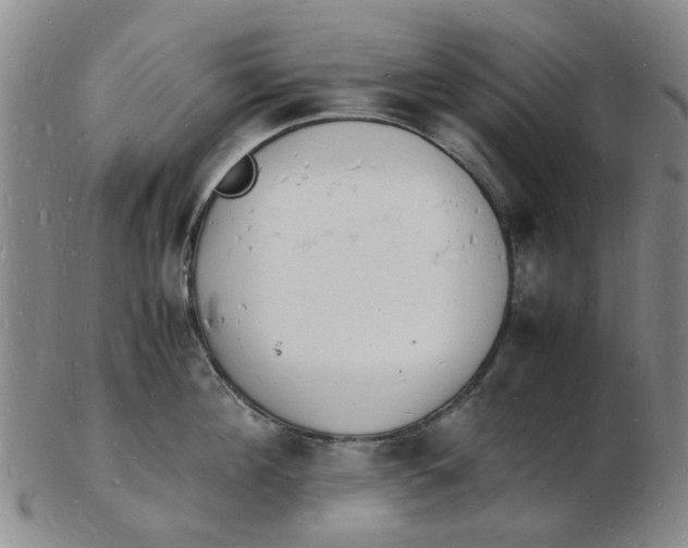 X0000102780908200809081025