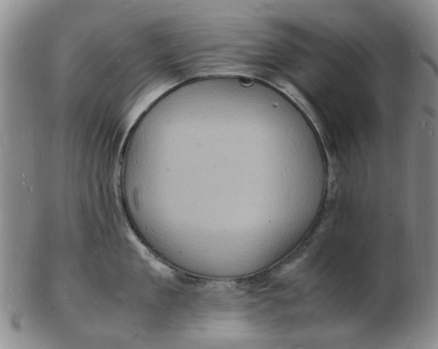 X0000102780909200809081025