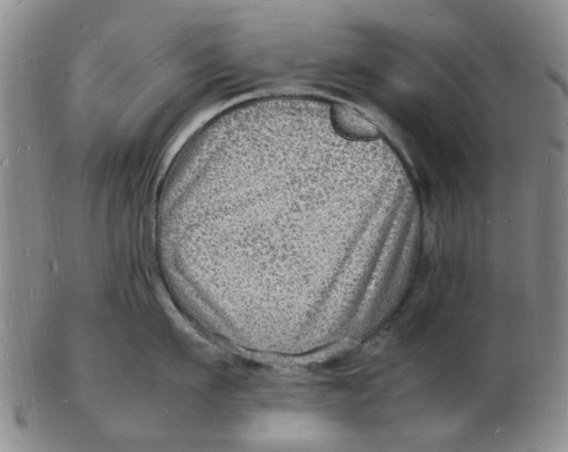 X0000102780911200809081024