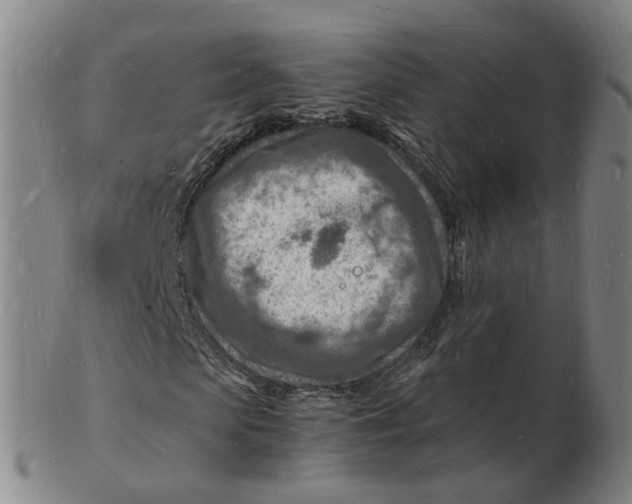 X0000102780913200809081024