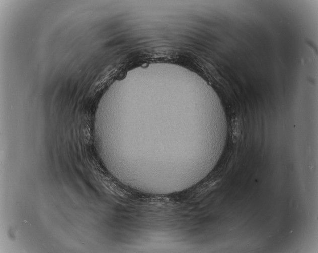 X0000102780916200809081024