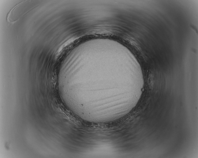 X0000102780920200809081024