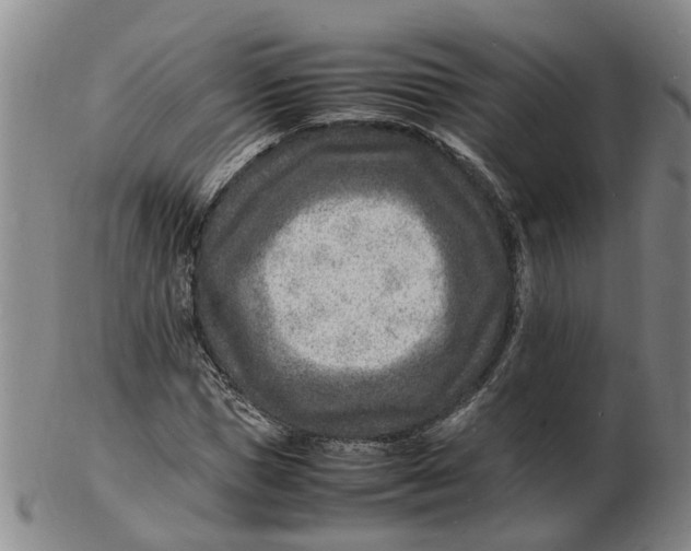 X0000102780921200809081024