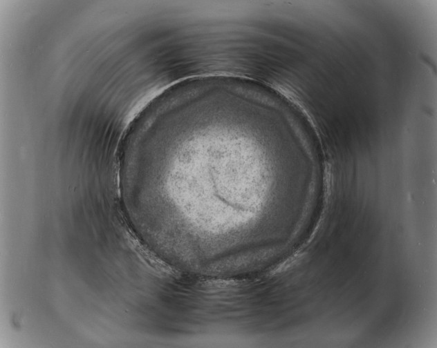 X0000102780925200809081024