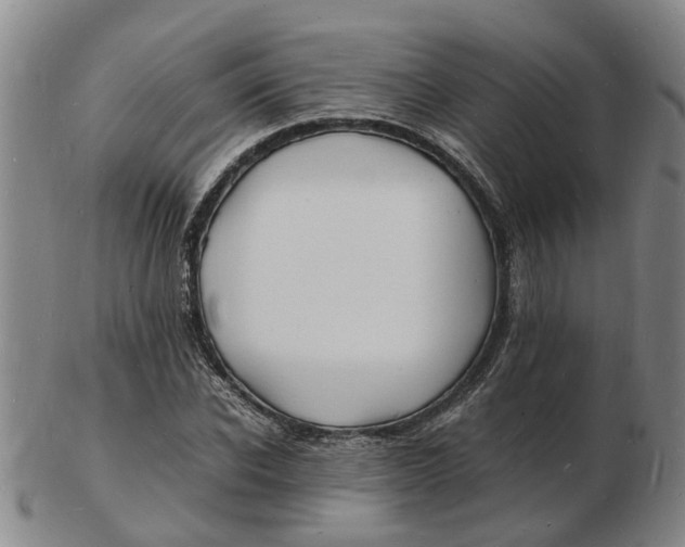 X0000102780926200809081024