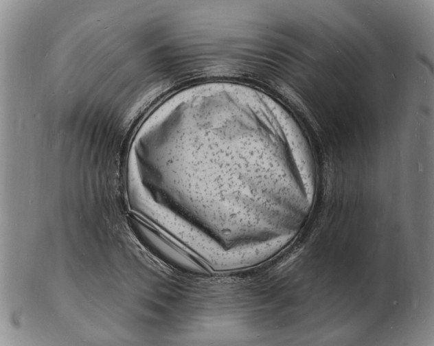 X0000102780930200809081024