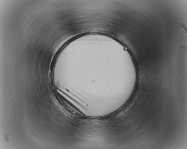 X0000102780932200809081024