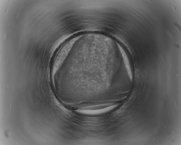 X0000102780935200809081024