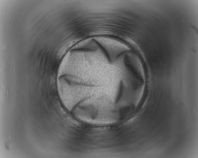 X0000102780937200809081024