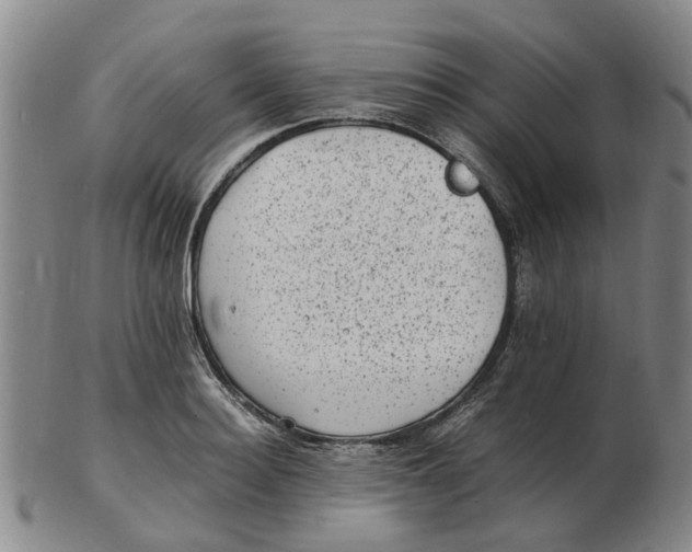 X0000102780940200809081024