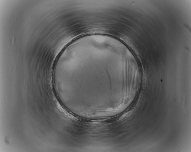 X0000102780941200809081024