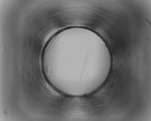 X0000102780942200809081024