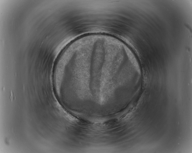 X0000102780943200809081024