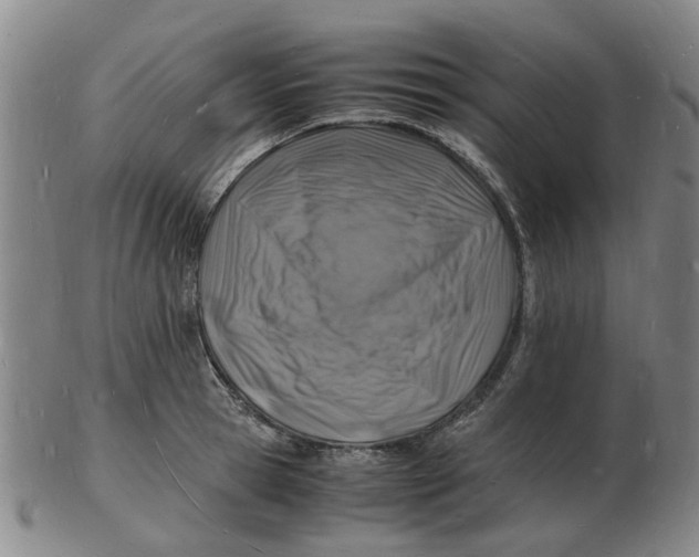 X0000102780945200809081024