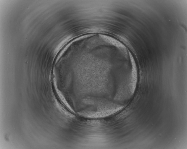 X0000102780946200809081024