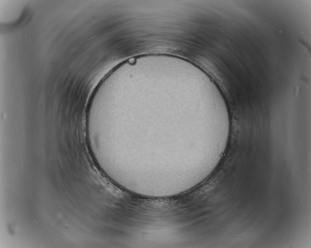 X0000102780948200809081024