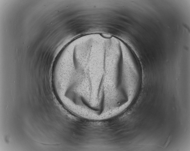 X0000102780949200809081024