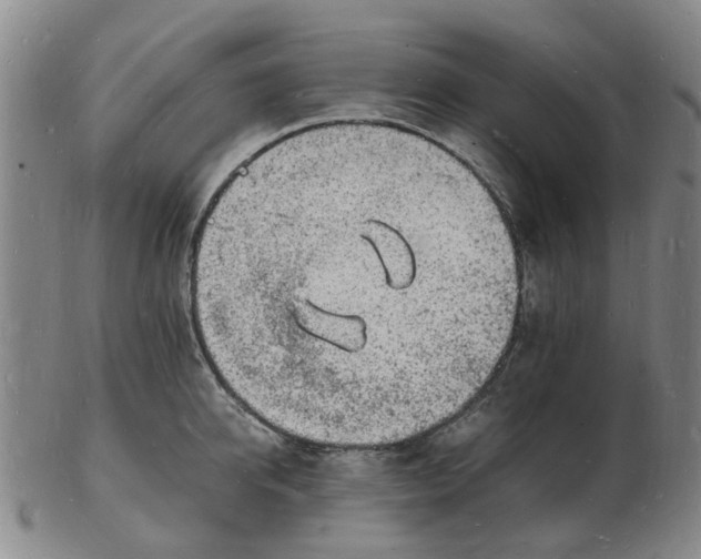 X0000102780950200809081024