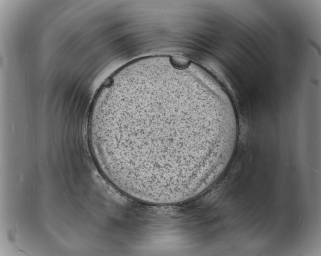 X0000102780952200809081024