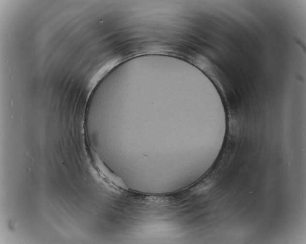 X0000102780954200809081024