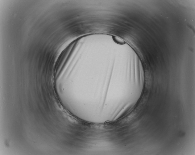 X0000102780956200809081024