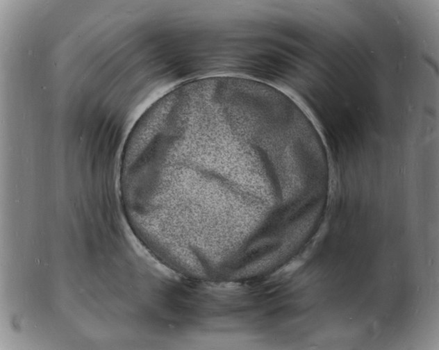 X0000102780957200809081024