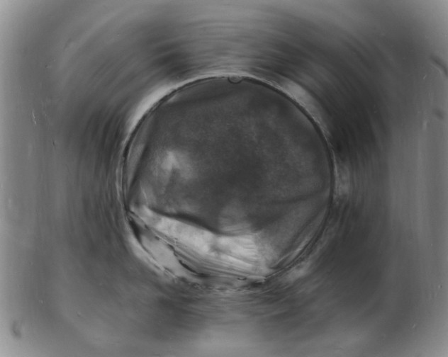 X0000102780958200809081024