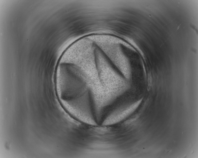 X0000102780959200809081024