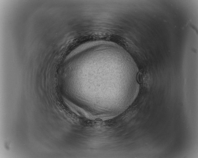 X0000102780961200809081024