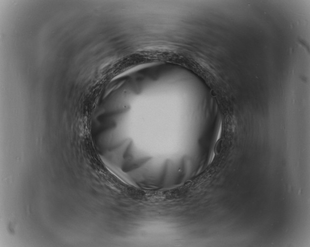 X0000102780965200809081024