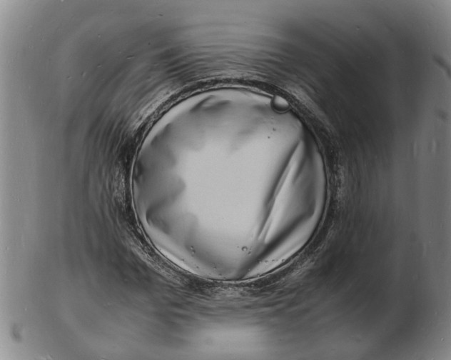 X0000102780969200809081024