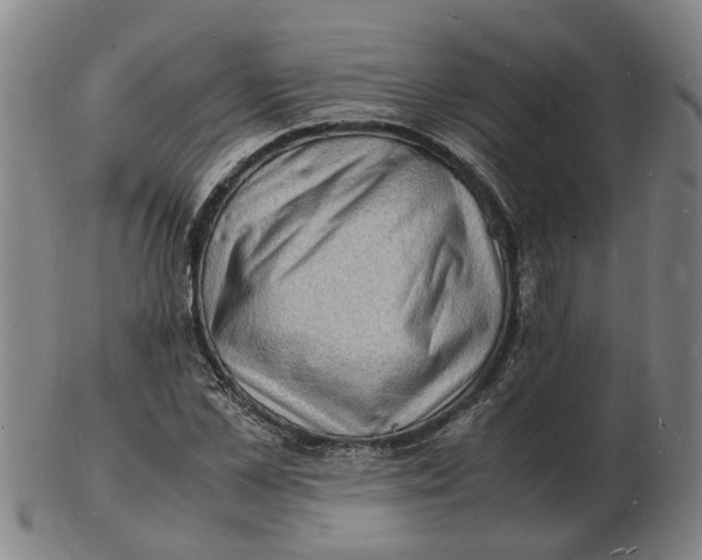 X0000102780973200809081024