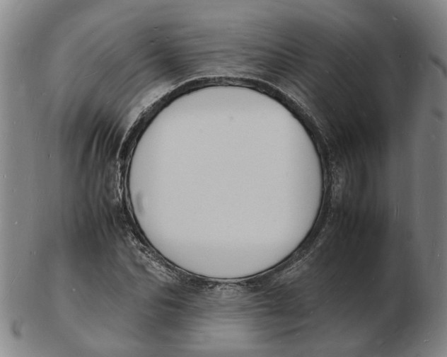 X0000102780974200809081024