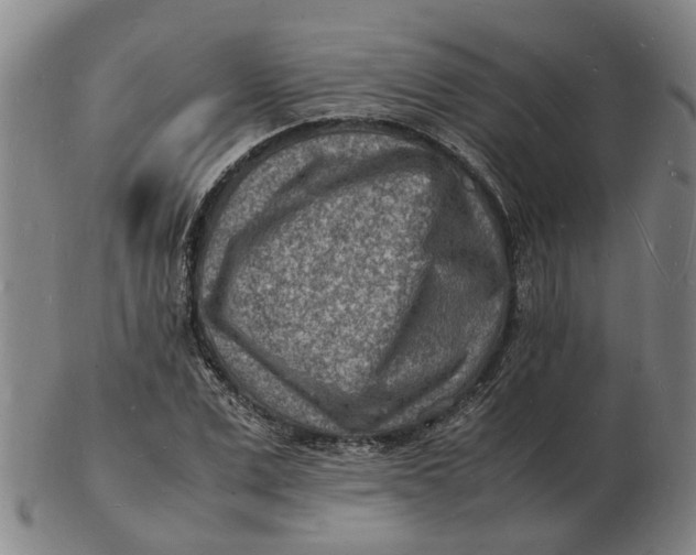 X0000102780975200809081024