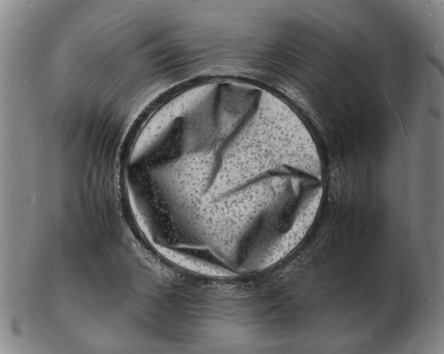 X0000102780976200809081024