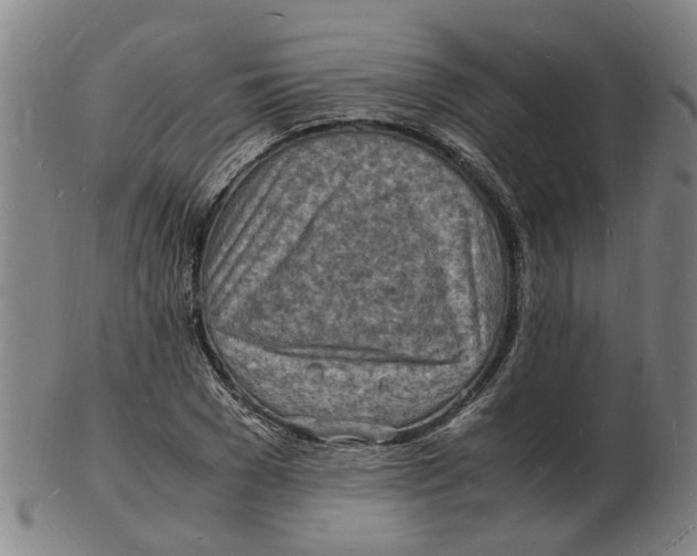 X0000102780977200809081024