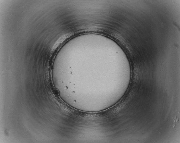 X0000102780978200809081024