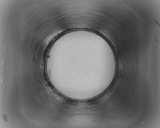 X0000102780979200809081024