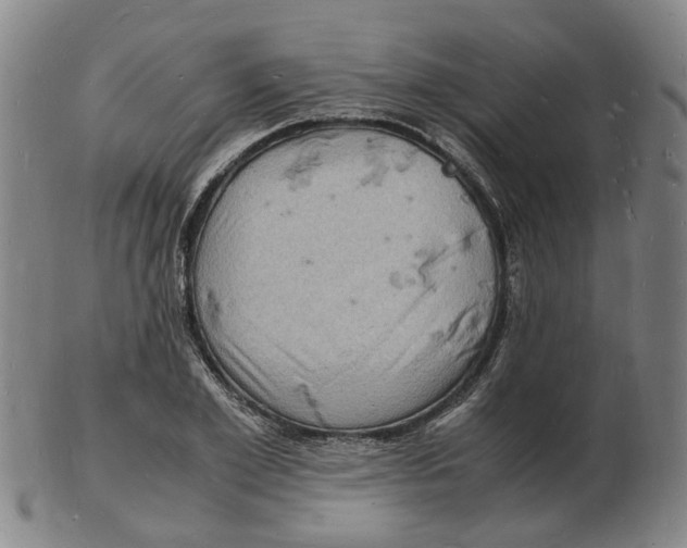 X0000102780981200809081024